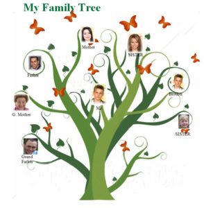 mac family tree 8 torrent
